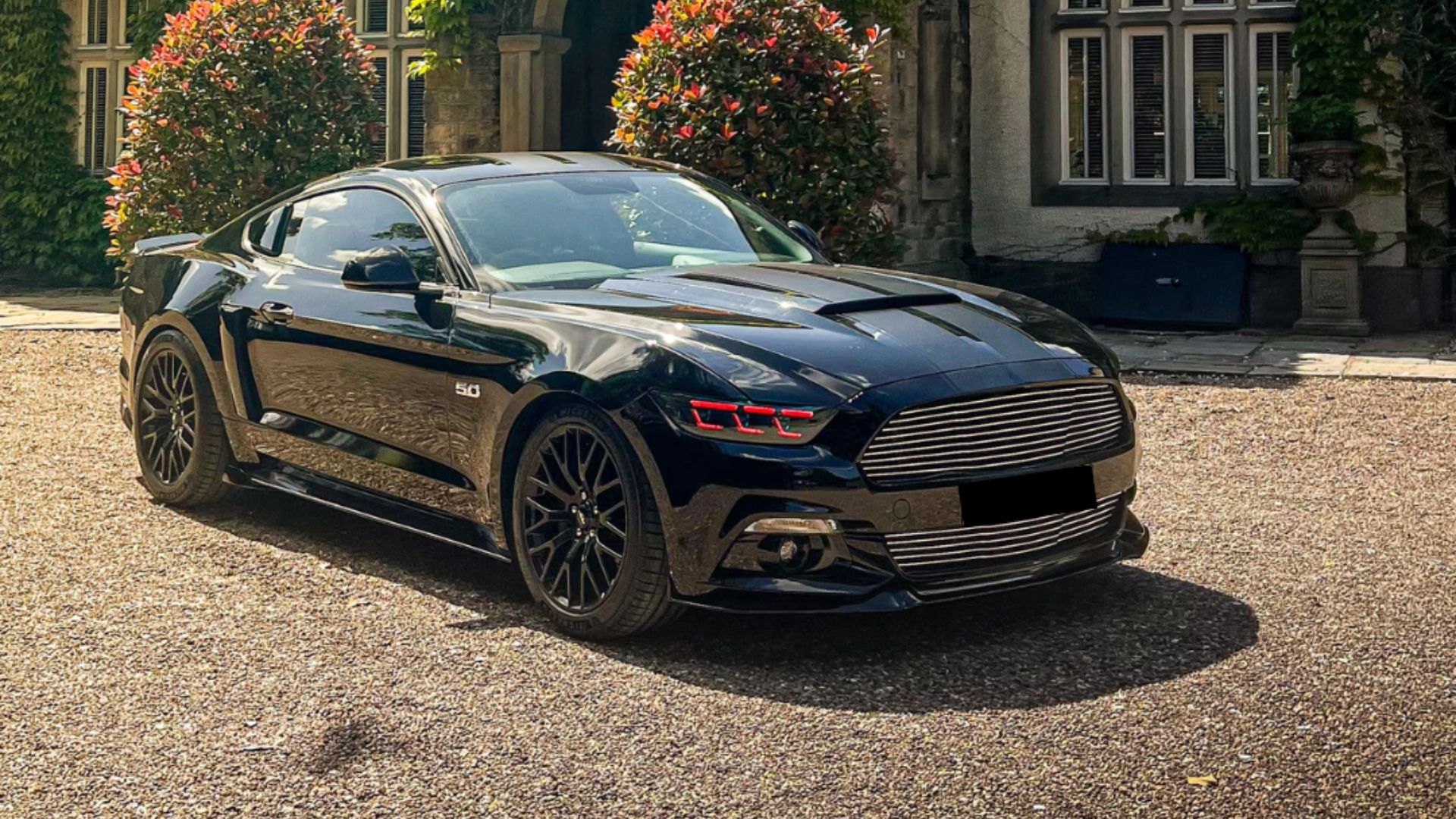 Limited Edition Ford Mustang GT500 - View 2