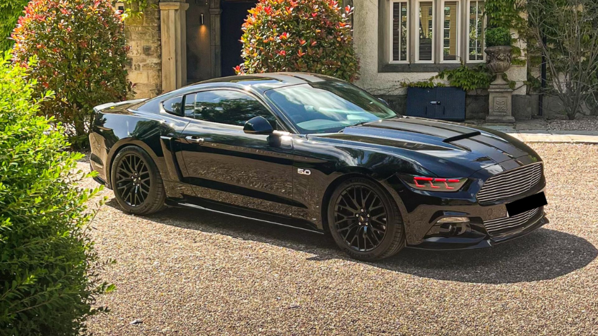 Limited Edition Ford Mustang GT500 - View 4